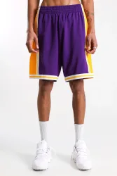 Mitchell & Ness Mesh Shorts - Purple + White L Herren