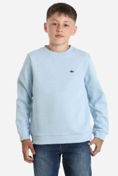 Lacoste Sweatshirt - Rill 12 Kids