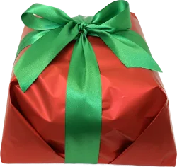 Panettone senza canditi