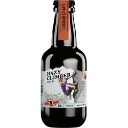 Hazy Climber