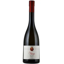 Vivat Kirschliqueur Musterbuur