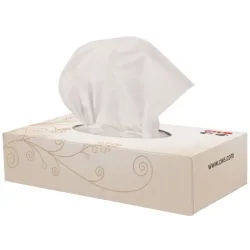 CWS Zellstoff-Kosmetiktücher Tissue Box, 2-lagig (20x100 Blatt)