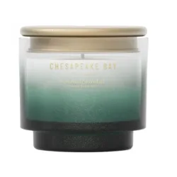 Chesapeake Bay Candle Coastal Snowfall Duftkerze (127g)