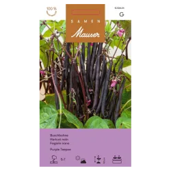 Samen Mauser Buschbohne Purple Teepee (60g)