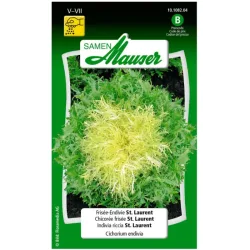 Samen Mauser Endivie Frisée St. Laurent (2.5g)