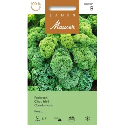 Samen Mauser Federkohl Frosty, Grünkohl (2.5g)