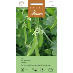 Samen Mauser Kiefelerbse Schneeflocke (60g)