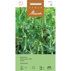 Samen Mauser Markerbse Ambassador (60g)