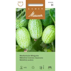 Samen Mauser Mexikanische Minigurke Saatkörner (15 Stk)