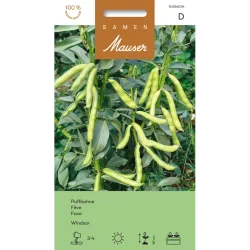 Samen Mauser Puffbohne Windsor (70g)