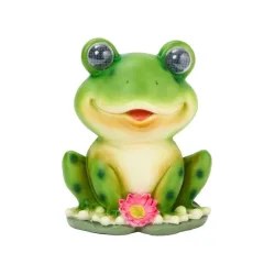 Samen Mauser Solar Bright Eyes, Frosch, Grösse XL, 25x21cm (1 Stk)