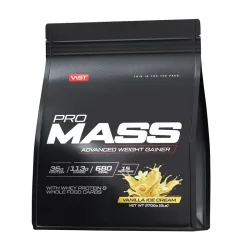 VAST Pro Mass Weight Gainer Vanilla Ice Cream (2.7kg)