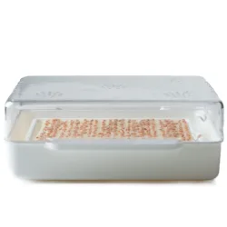 Wyss Garten Cresspad RucolaCress Bio (3 Stk)
