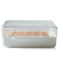 Wyss Garten Cresspad RadiesCress Bio (3 Stk)