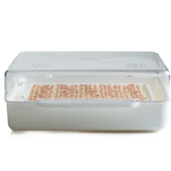 Wyss Garten Cresspad SenfCress Bio (3 Stk)