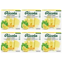 waterdrop x Ricola Drink Cubes Zitrone Minze (6x12 Stk)