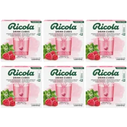 waterdrop x Ricola Drink Cubes Himbeer Melisse (6x12 Stk)