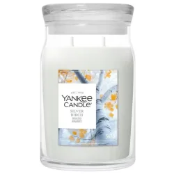 Yankee Candle Silver Birch Duftkerze (567g)