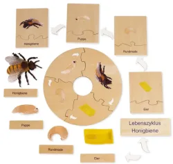 TimeTEX Lebenszyklus einer Honigbiene, in Holzbox Montessori Premium (1 Stk)