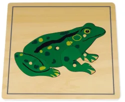 TimeTEX Puzzle Frosch Montessori Premium, 24x24cm (5-teilig)