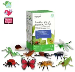 TimeTEX Modell Insekten & Co. (10-teilig)