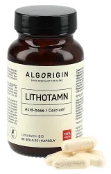 Algorigin Lithothamne
