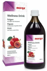 morga Wellness Drink Feigen (380ml)