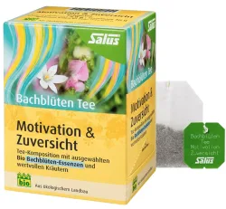 SALUS Bachblüten Tee 
