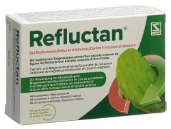 Refluctan Kautabletten mit Minzgeschmack bei Sodbrennen (48 Stk)
