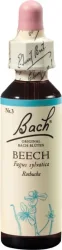 BACH-BL&Uuml;TEN Original Beech No03 20 ml