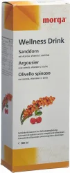 morga Sanddorn Wellness Drink (380ml)