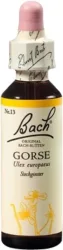 BACH-BL&Uuml;TEN Original Gorse No13 20 ml