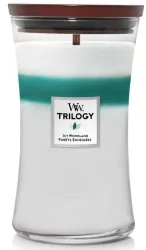 WoodWick Icy Woodland Trilogy Large Jar (1 Stk)