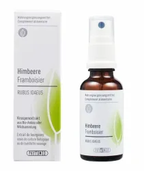 Phytomed Knospenextrakt Himbeere Spray (30ml)