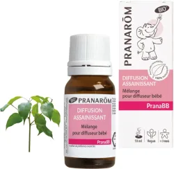 PRANARÖM PranaBB Mischung Reinigend Bio (10ml)