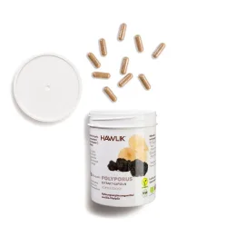 HAWLIK Polyporus Extrakt Kapseln (240 Stk)