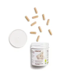 HAWLIK Pleurotus Extrakt Kapseln (240 Stk)