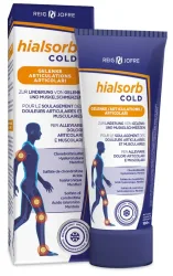 REIG JOFRE Hialsorb cold (100ml)