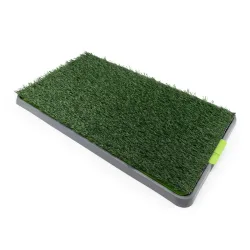 Freezack Toilet Trainer für Hunde (1 Stk)