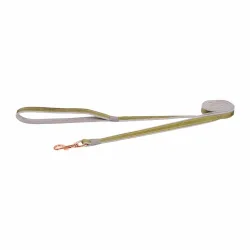 rogz Urban Hundeleine grün, Länge 180cm, Bandbreite 1.4cm (1 Stk)