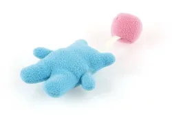 Swisspet Puppy Spielzeug Bär mit Ball (1 Stk)