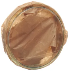 ASSISTENT Petrischale, 10x2cm, Glas (1 Stk)