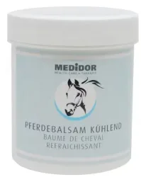 MEDiDOR Pferdebalsam blau kühlend (100ml)