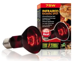 Exo Terra Infrared Basking Spot Infrarot Glühbirne 75W (1 Stk)