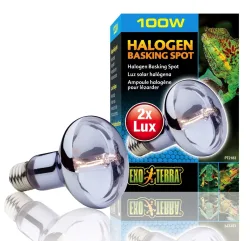 Exo Terra Halogen Basking Spot energieeffiziente Breitspektrum-Glühbirne 100W (1 Stk)