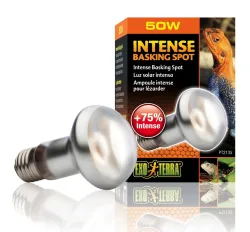Exo Terra Intense Basking Spot Wärmespotlampe 50W (1 Stk)