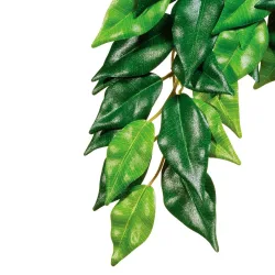Exo Terra Rainforest Hanging Plants Ficus, 17.5x53.5x3cm (1 Stk)