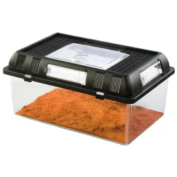Exo Terra Brutbox 30.2×19.6×14.7cm (1 Stk)