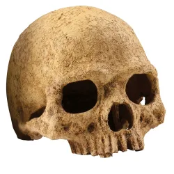 Exo Terra Skulls Schädel-Versteck, 16x16x14cm (1 Stk)