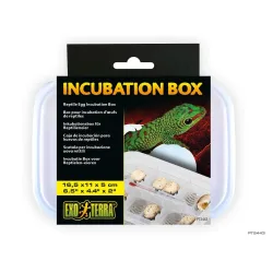 Exo Terra Inkubations-Box (1 Stk)